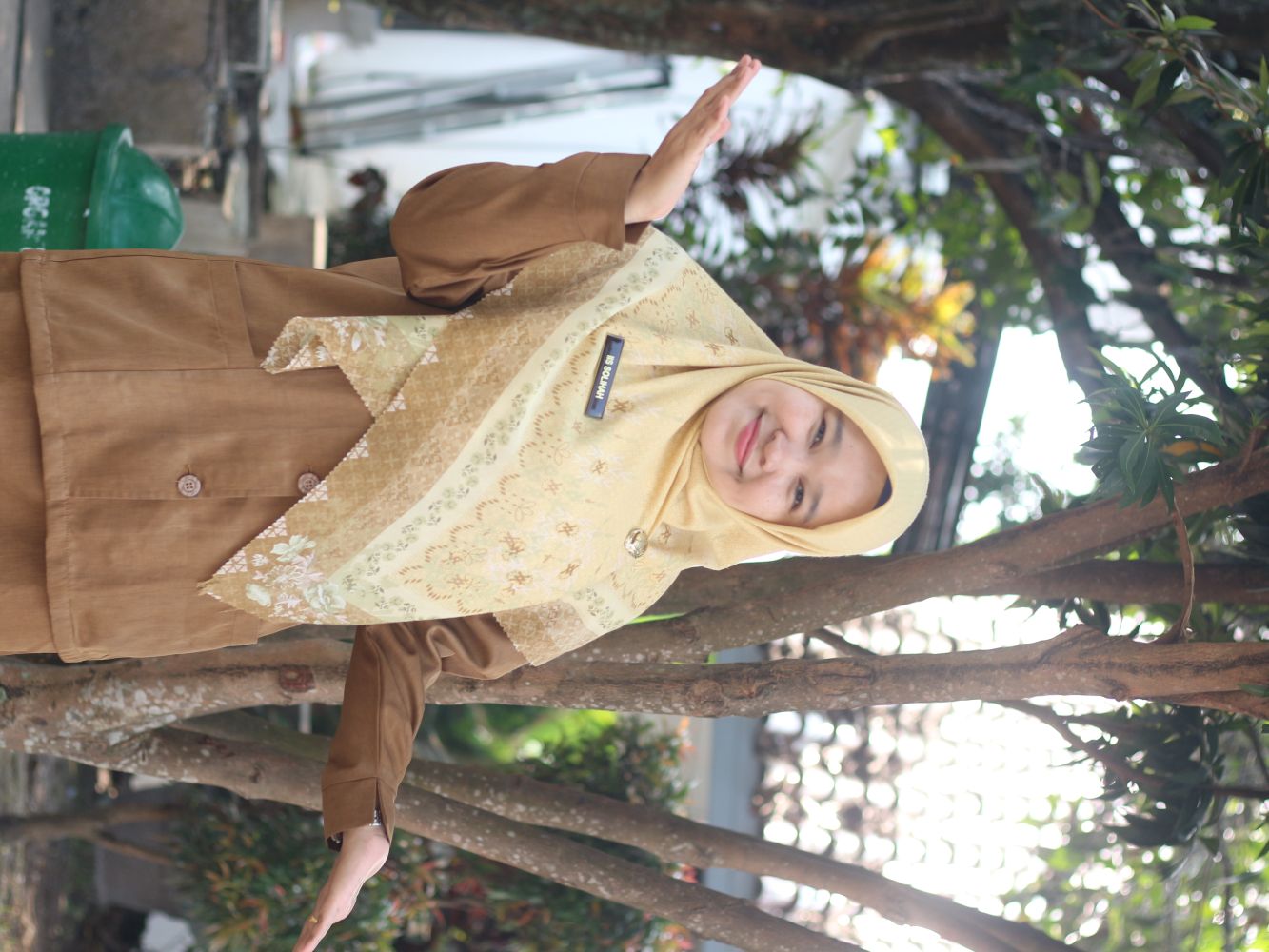 iis